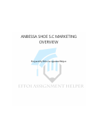 Anbessa Marketing Overview.pdf